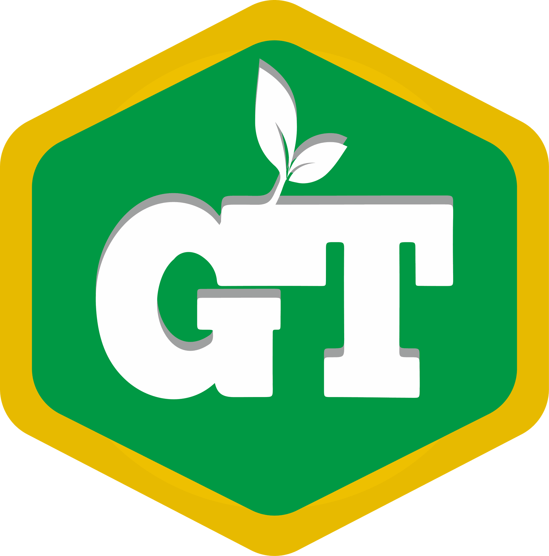 GT Rayhane thévert